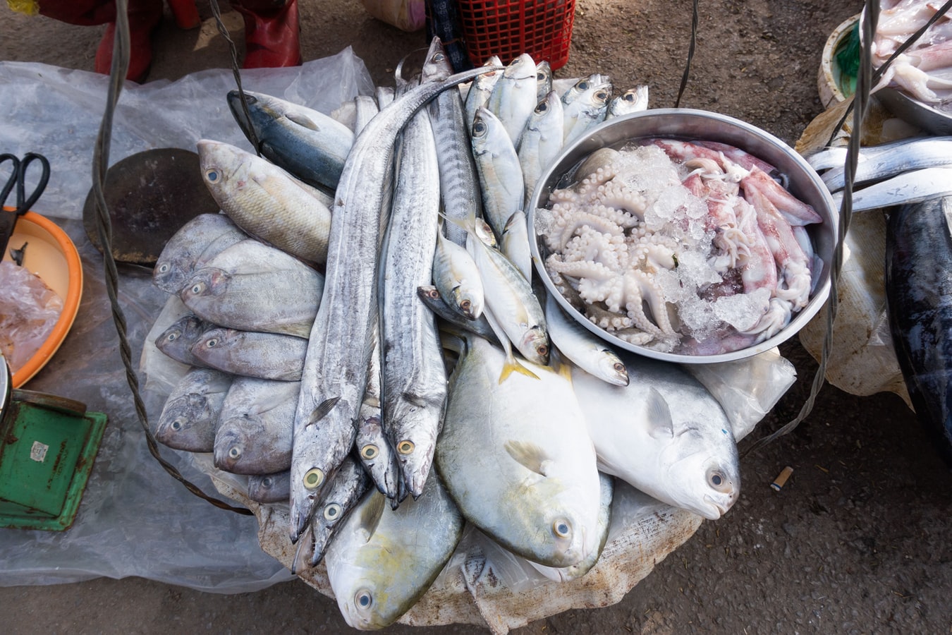 Los 5 pescados congelados imprescindibles si quieres mantener una dieta  equilibrada. Zulimar